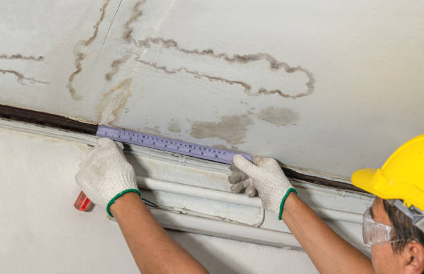 Reliable Water Damage contractor in Saddle River, NJ by Water Damage Irwin